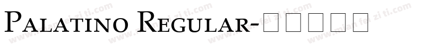 Palatino Regular字体转换